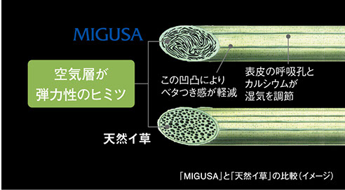 MIGUSAと天然イ草の比較